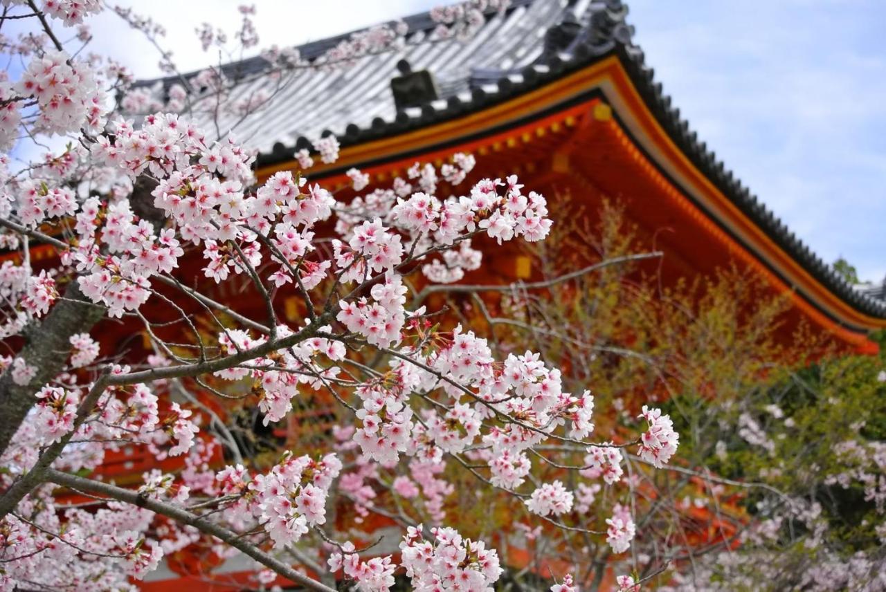 Stay Sakura Kyoto Tambaguchi מראה חיצוני תמונה